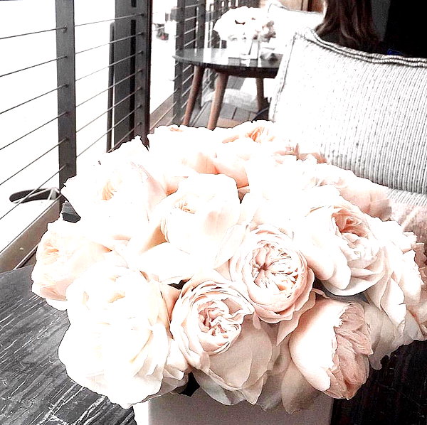 andasrose instagram image archive image