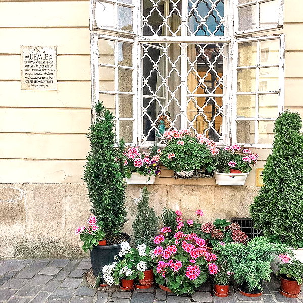 andasrose instagram image archive image