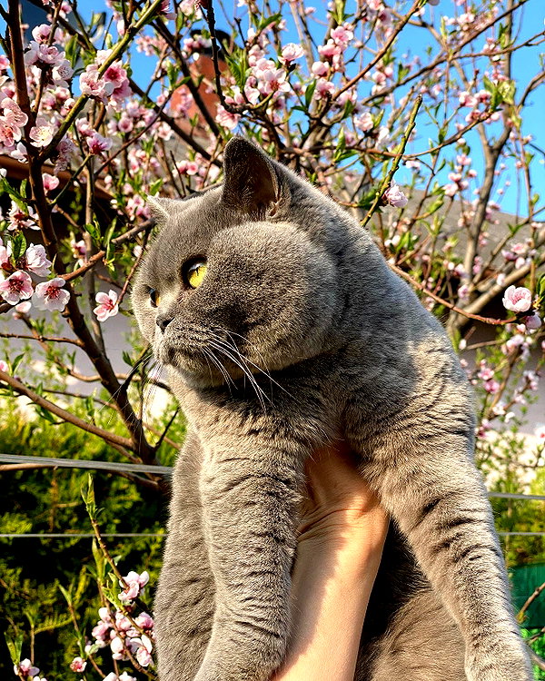 andasrose instagram image archive image