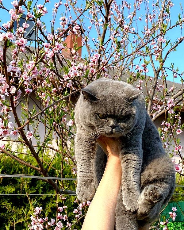 andasrose instagram image archive image