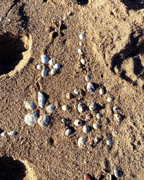 anika.wicks instagram image archive image
