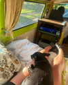 anika.wicks Altpins Profile Picture