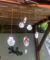 anika.wicks Altpins Profile Picture