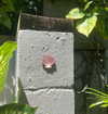 anika.wicks Altpins Profile Picture