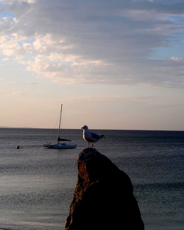 anika.wicks instagram image archive image