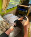anika.wicks Altpins Profile Picture