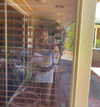 anika.wicks Altpins Profile Picture