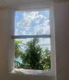 anika.wicks Altpins Profile Picture