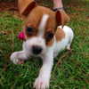 annaa_thompsonnn Altpins Profile Picture
