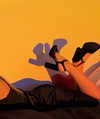 annabel.lucinda Altpins Profile Picture