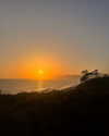 annabel.lucinda Altpins Profile Picture
