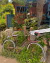 annabel.lucinda Altpins Profile Picture