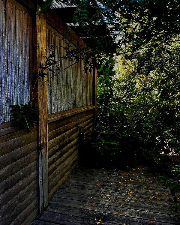 annatuy14 instagram image archive image