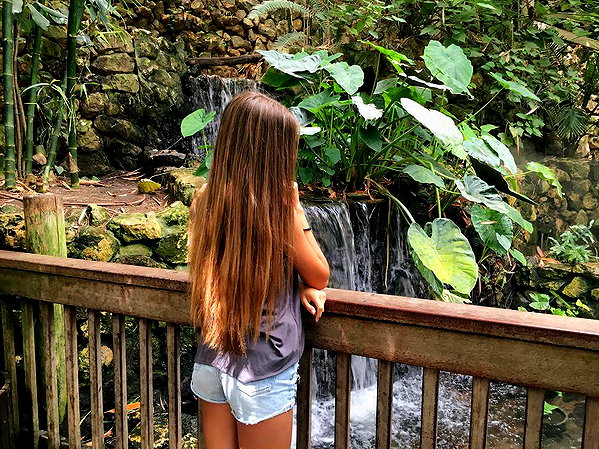 annazak12 instagram image archive image