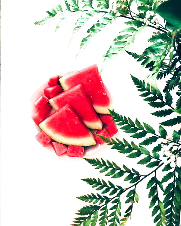 annazak12 instagram image archive image