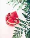 annazak12 Altpins Profile Picture