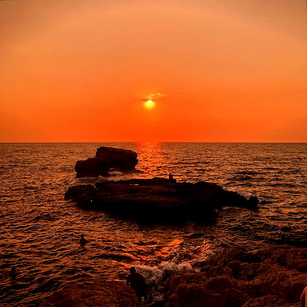 annazak12 instagram image archive image