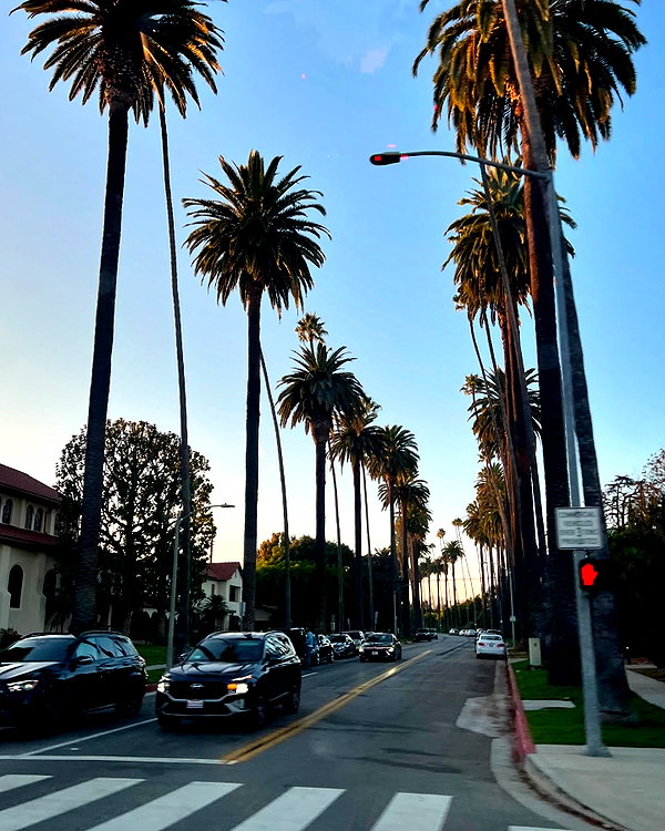 annazak12 instagram image archive image
