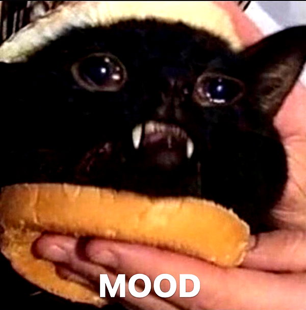 antijuls instagram image archive image