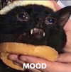 antijuls Altpins Profile Picture