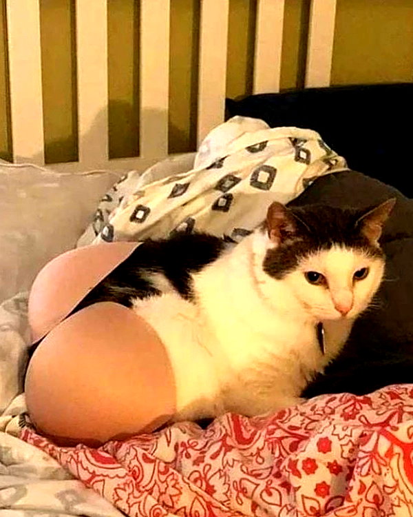 antijuls instagram image archive image