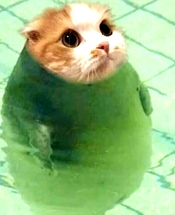 antijuls instagram image archive image