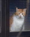 antijuls Altpins Profile Picture