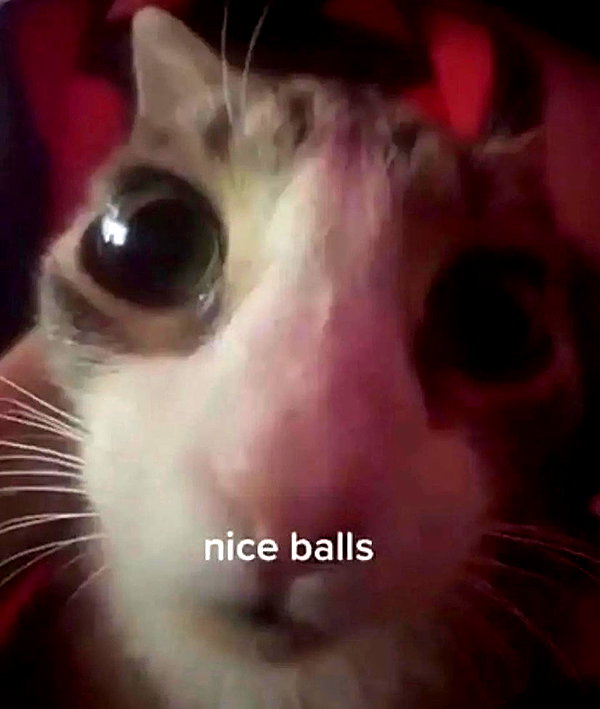 antijuls instagram image archive image