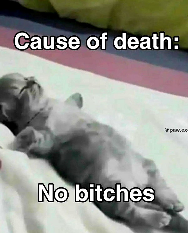 antijuls instagram image archive image