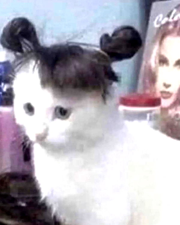 antijuls instagram image archive image