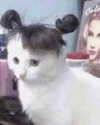antijuls Altpins Profile Picture