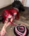 antijuls Altpins Profile Picture