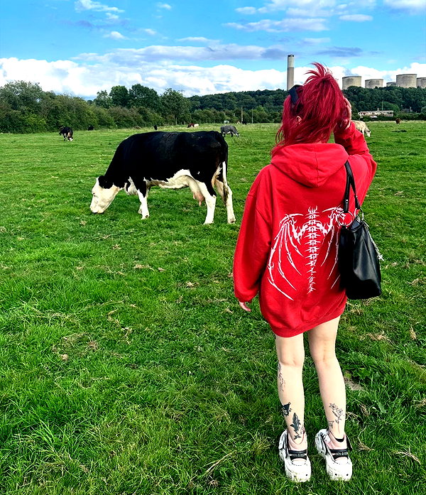 antijuls instagram image archive image