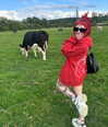 antijuls Altpins Profile Picture
