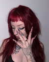 antijuls Altpins Profile Picture