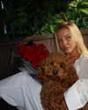 anya_shtril Altpins Profile Picture