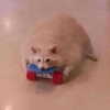 aryminh Altpins Profile Picture