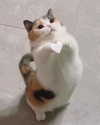aryminh Altpins Profile Picture