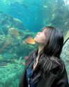 aryminh Altpins Profile Picture