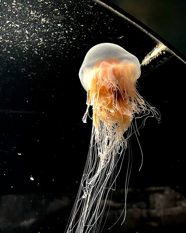 aryminh instagram image archive image