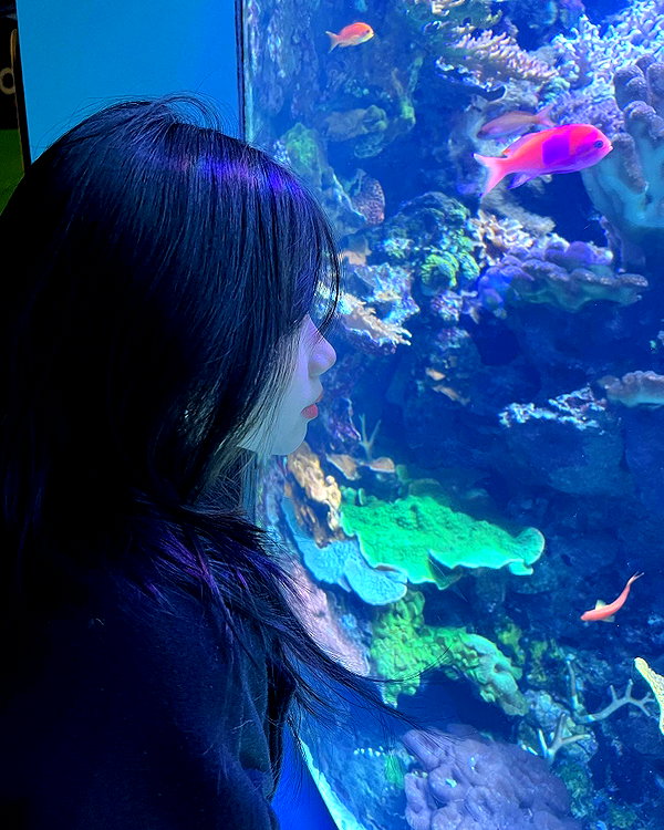 aryminh instagram image archive image