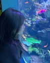 aryminh Altpins Profile Picture