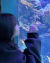 aryminh Altpins Profile Picture