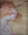 aryminh Altpins Profile Picture