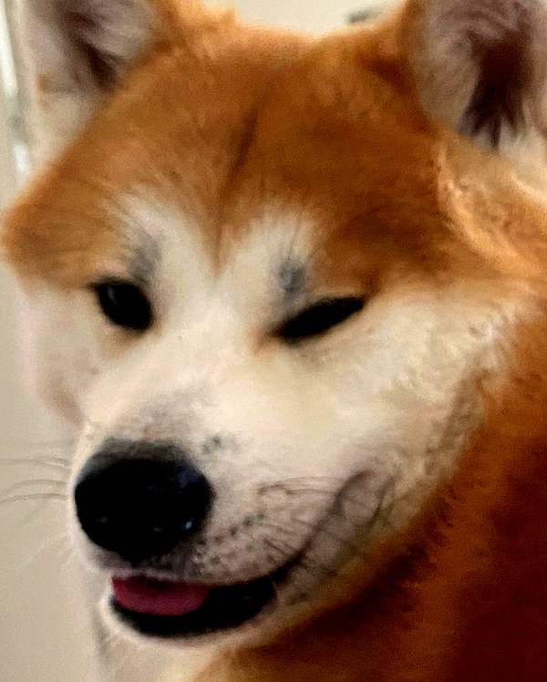 aryssa614 instagram image archive image