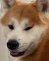 aryssa614 Altpins Profile Picture