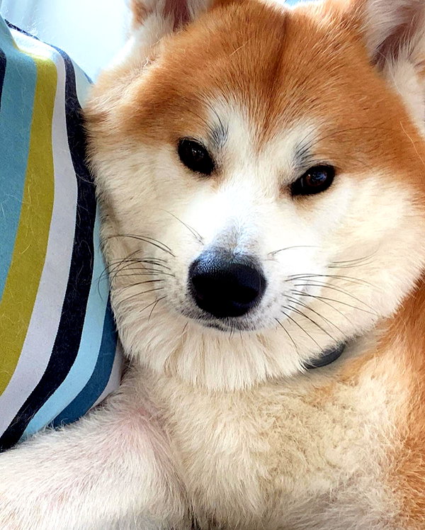 aryssa614 instagram image archive image