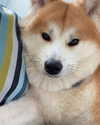 aryssa614 Altpins Profile Picture