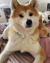 aryssa614 Altpins Profile Picture