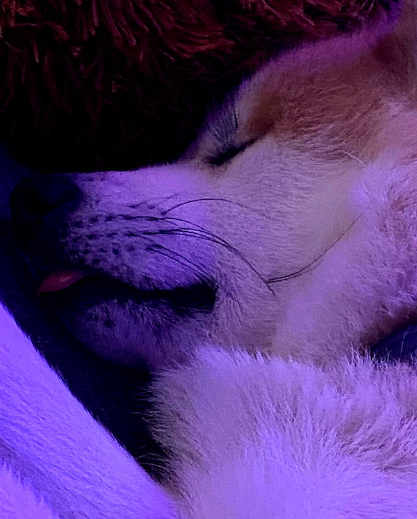 aryssa614 instagram image archive image